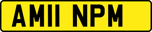 AM11NPM