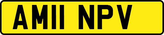 AM11NPV