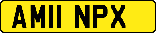 AM11NPX