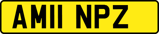 AM11NPZ