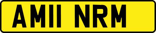 AM11NRM