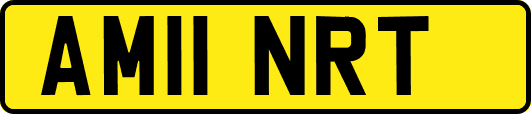 AM11NRT