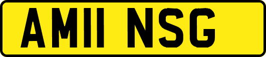 AM11NSG