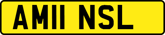 AM11NSL