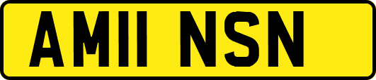 AM11NSN