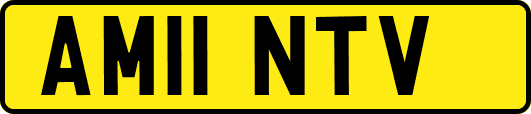 AM11NTV