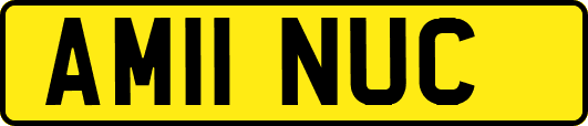 AM11NUC