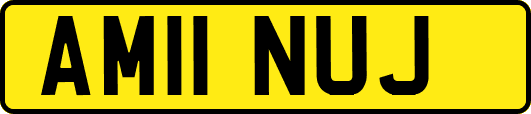 AM11NUJ