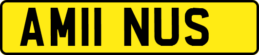 AM11NUS