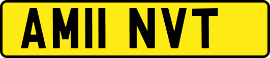 AM11NVT