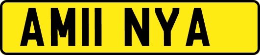 AM11NYA
