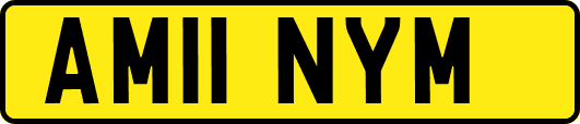 AM11NYM