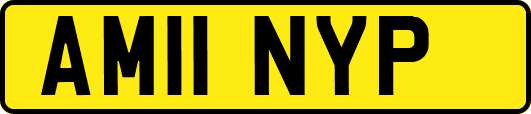AM11NYP