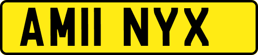 AM11NYX