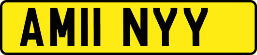 AM11NYY