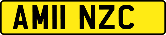 AM11NZC
