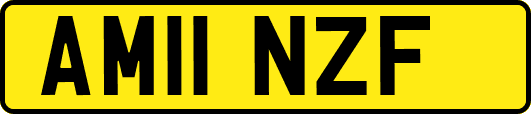 AM11NZF