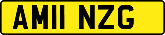AM11NZG