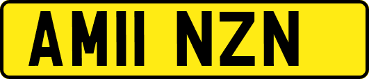 AM11NZN