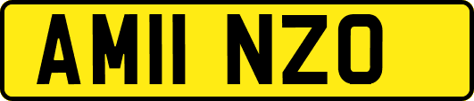 AM11NZO