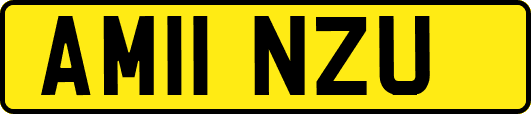 AM11NZU