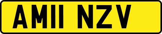 AM11NZV
