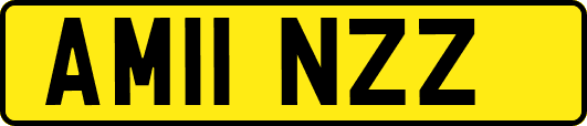 AM11NZZ