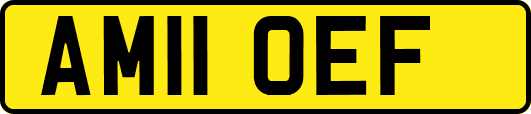 AM11OEF