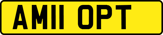 AM11OPT