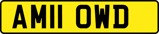 AM11OWD