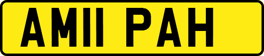 AM11PAH