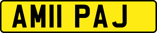 AM11PAJ