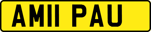 AM11PAU