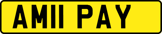 AM11PAY