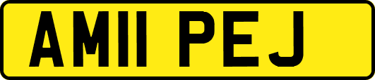 AM11PEJ