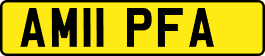 AM11PFA