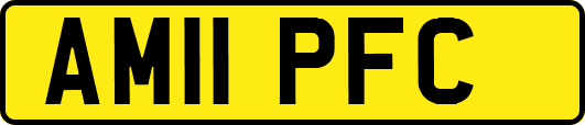 AM11PFC