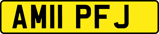 AM11PFJ