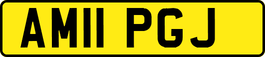 AM11PGJ