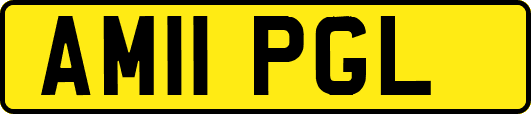 AM11PGL
