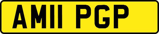 AM11PGP