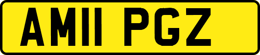 AM11PGZ