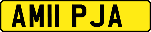 AM11PJA