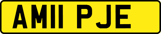 AM11PJE