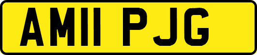 AM11PJG