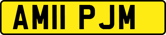 AM11PJM