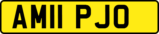 AM11PJO