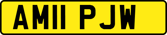 AM11PJW