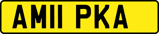 AM11PKA