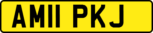 AM11PKJ